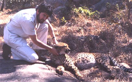 David with cheetah